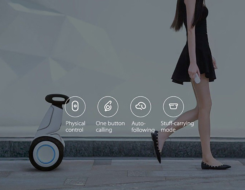 NINEBOT BY SEGWAY Gyropode