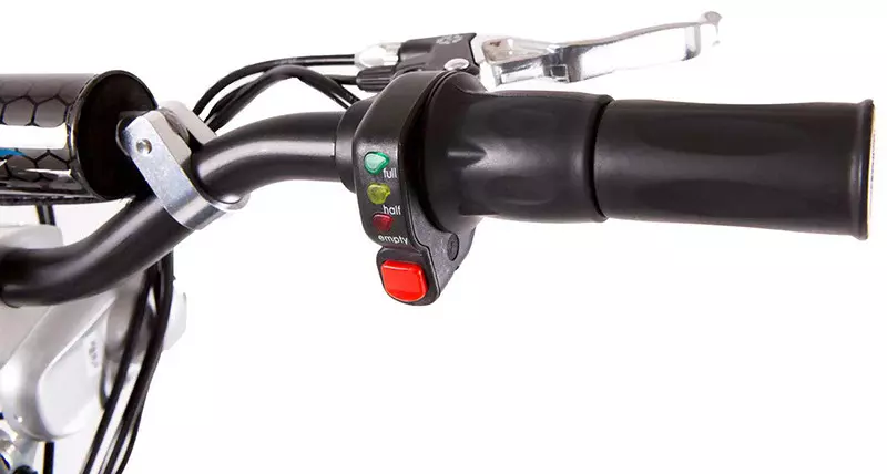 SXT scooters Trotinnette électrique tout terrain 1000 W Turbo