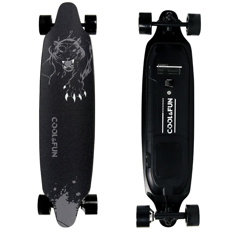RCB Longboard Skateboard Électrique avec télécommande